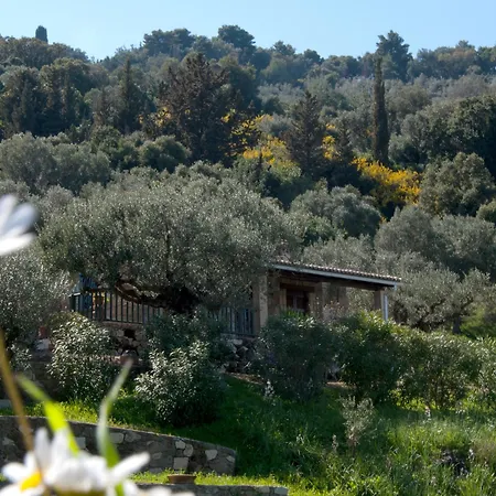 Colina Appartement